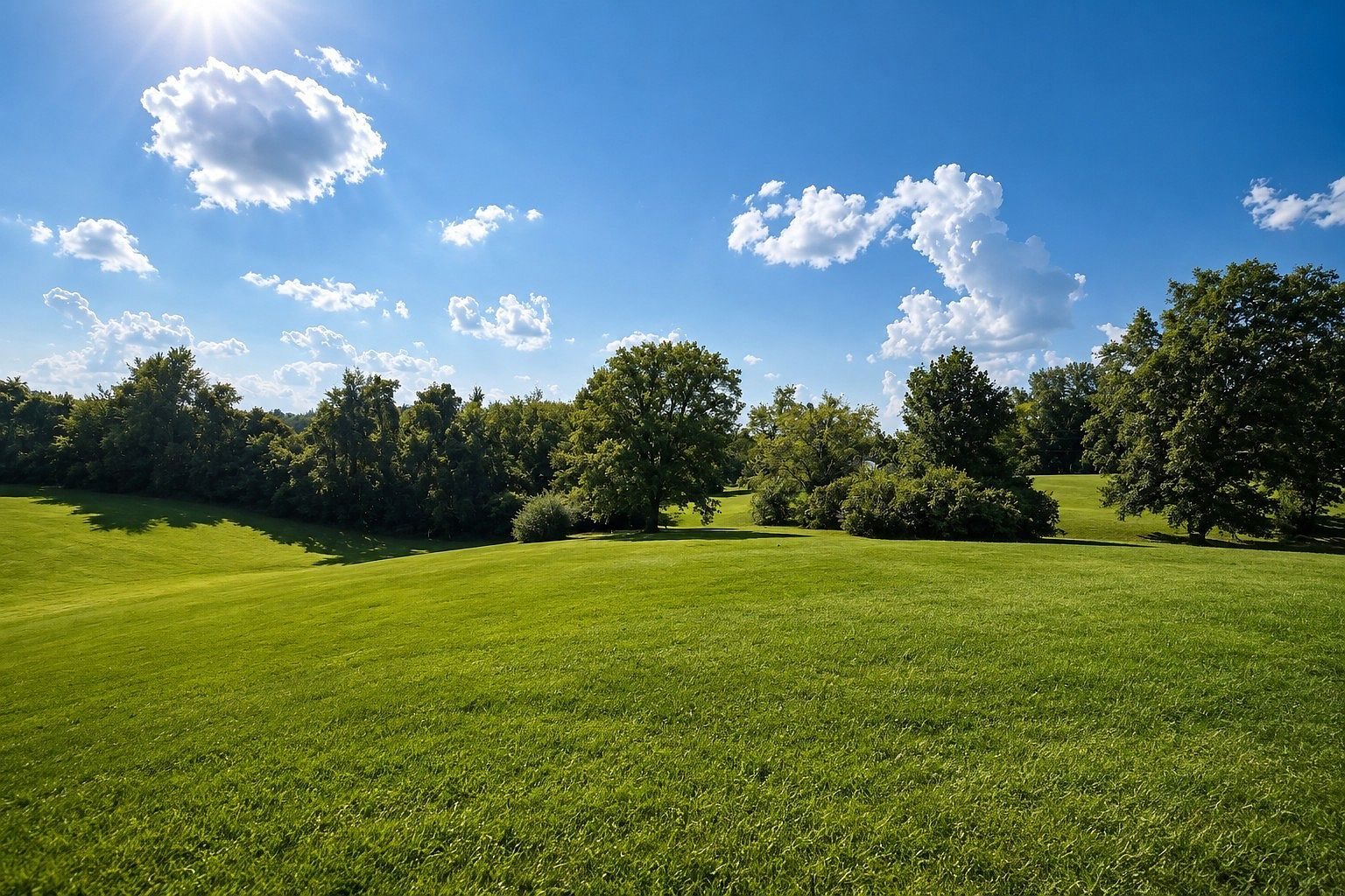 1029 Ridgecrest Dr, Lot 5, Dickson: home site